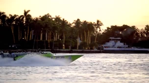Miami Thriller Motoscafo Corsa Lungo Skyline Miami — Video Stock
