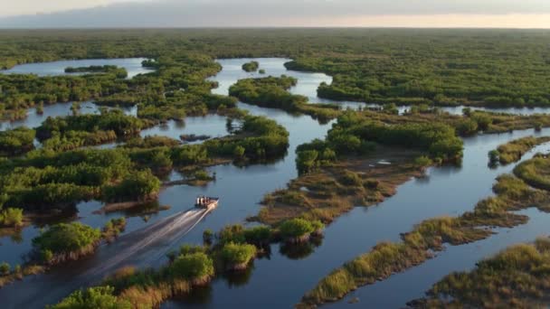 Overhead Aerial Airboat Swamp Sunset Slow Motion — Stock Video