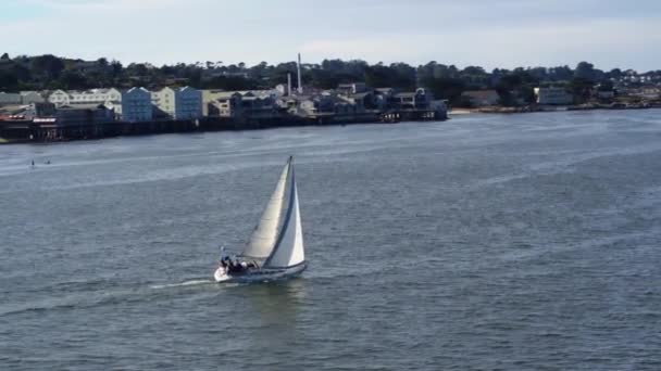 Sailboat Crossing Monterey Bay Aerial Drone — Stock Video