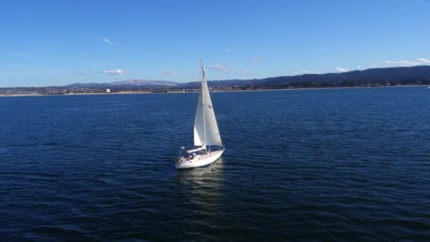 Zeilboot Oversteken Monterey Baai Door Antenne Drone — Stockvideo