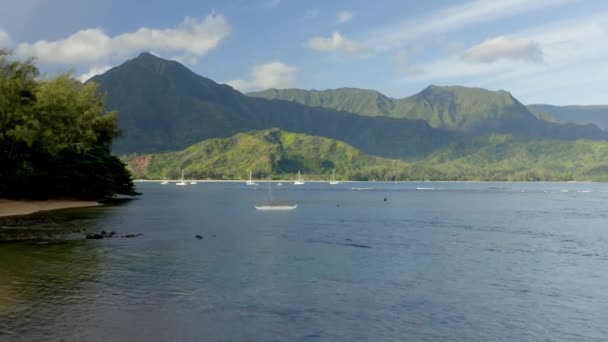 Sailboats Hanalei Bay Kauai Island Hawaii Aerial Drone — Stock Video