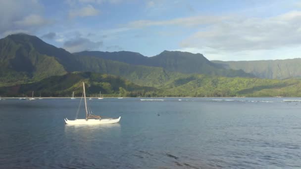 Żaglówki Zatoce Hanalei Kauai Wyspa Hawaje Dronem Powietrznym — Wideo stockowe