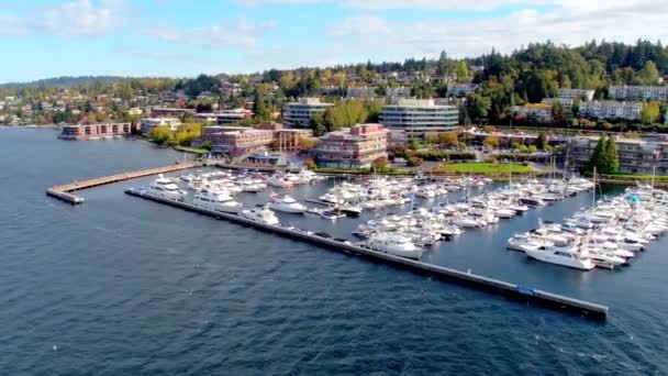 Seattle Haven Door Lucht Drone — Stockvideo