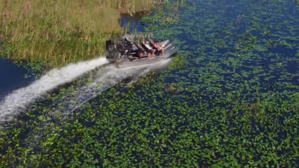 Slow Motion Airboat Zwiedzanie Bagien Bagien Everglades — Wideo stockowe