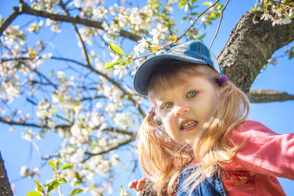 Liten Flicka Grön Trädgård Sitter Träd Och Skrattar — Stockfoto