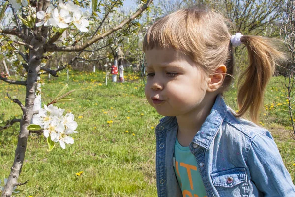 Una Niña Años Con Colas Ropa Mezclilla Jardín Floreciente Sakura — Foto de Stock