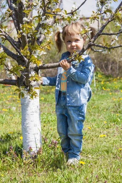 Una Niña Años Con Colas Ropa Mezclilla Jardín Floreciente Sakura —  Fotos de Stock