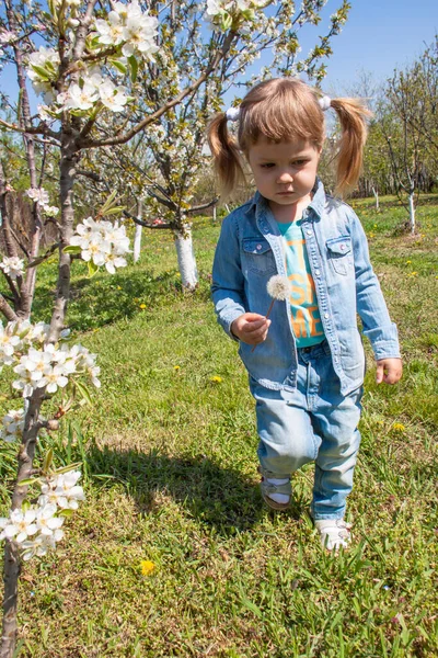 Çiçek Açan Bir Bahçede Kot Elbiseli Kuyruklu Küçük Bir Kız — Stok fotoğraf