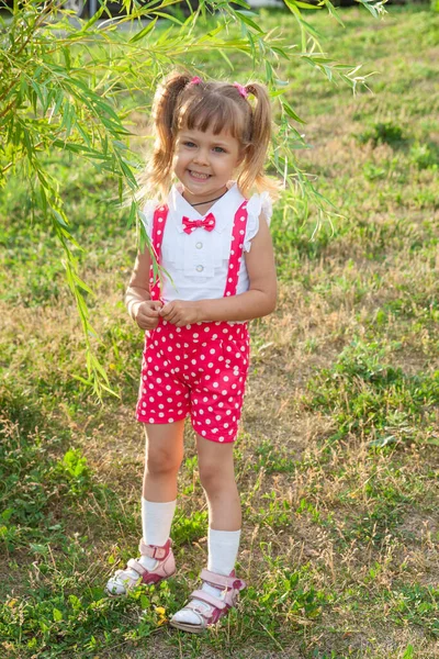 Petite Fille Beau Bébé Avec Des Queues Vêtements Vacances — Photo