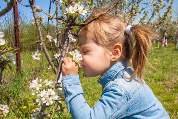 Liten Söt Vacker Flicka Gammal Sniffande Blomma — Stockfoto