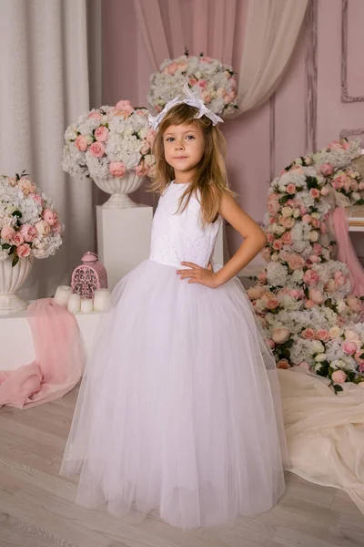 Portrait Cute Smiling Little Girl Princess Dress — Stock Photo, Image