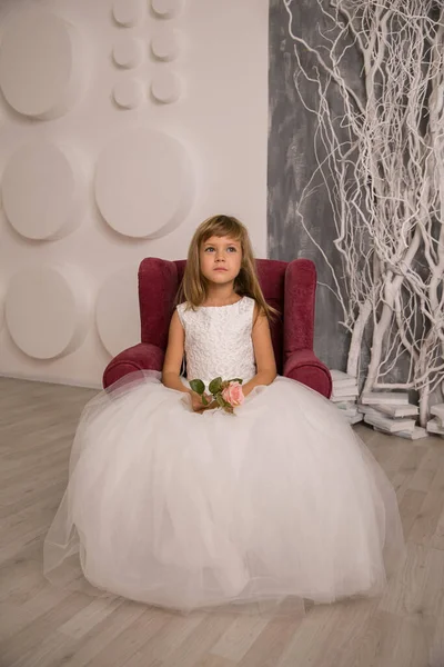 Retrato Menina Sorridente Bonito Vestido Princesa — Fotografia de Stock