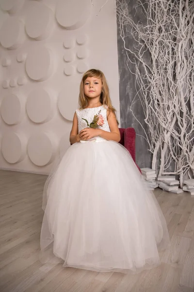 Портрет Милой Улыбчивой Маленькой Девочки Платье Принцессы — стоковое фото