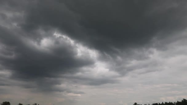 雨の前に嵐の風景を表示します 曇りの雨の日の緑の小麦畑 — ストック動画