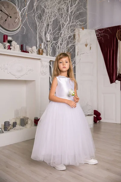 Πορτρέτο Του Χαριτωμένο Χαμογελαστό Κοριτσάκι Πριγκίπισσα Φόρεμα Ένα Όμορφο Μαγικό — Φωτογραφία Αρχείου