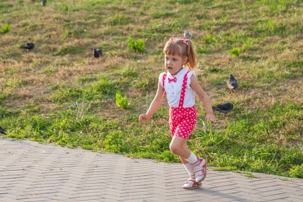 Bambina Anni Con Code Che Corrono Dietro Piccioni Uccelli — Foto Stock