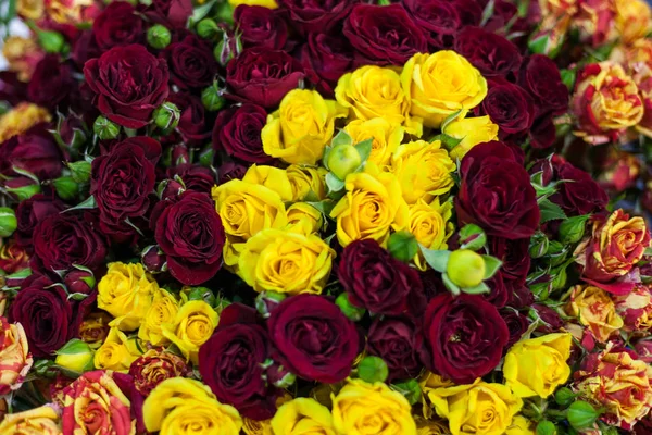 Μπουκέτο από πολύχρωμα τριαντάφυλλα — Φωτογραφία Αρχείου