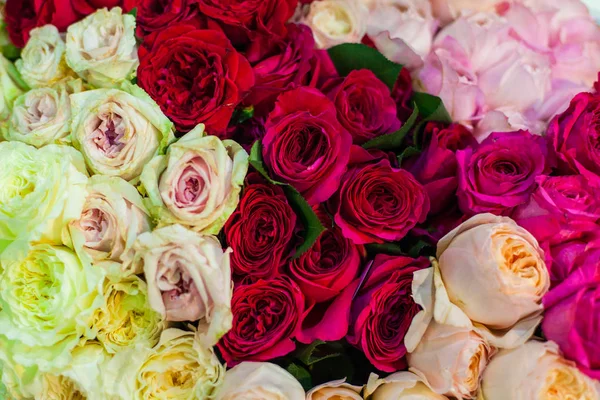 Μπουμπούκια από πολύχρωμα τριαντάφυλλα — Φωτογραφία Αρχείου