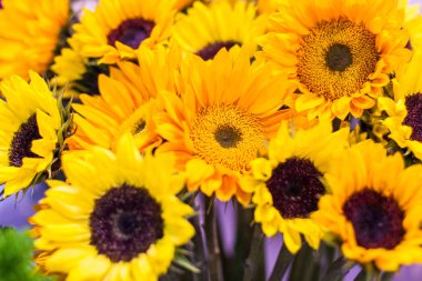 Ay çiçekleri buketi.