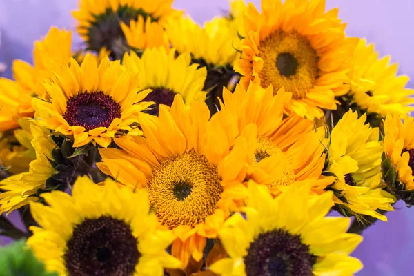 Ayçiçeği yakın çekim.