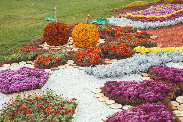 Flower arrangements in a park. — Stock Photo, Image