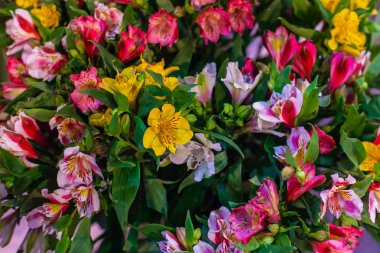 Büyük lilyum buketi.