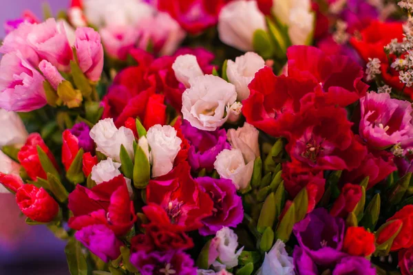 Μπουμπούκια όμορφα πολύχρωμα λουλούδια. — Φωτογραφία Αρχείου