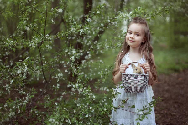 Klein meisje in het bos met konijn. — Stockfoto