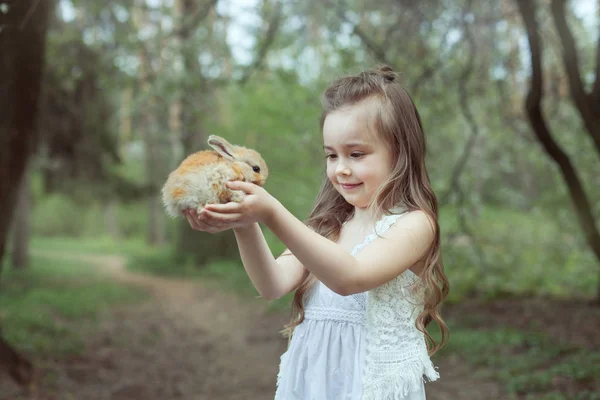 Meisje met kleine konijn. — Stockfoto