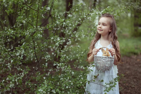 Pequena Menina Bonito Fica Floresta Segura Uma Cesta Com Coelho — Fotografia de Stock