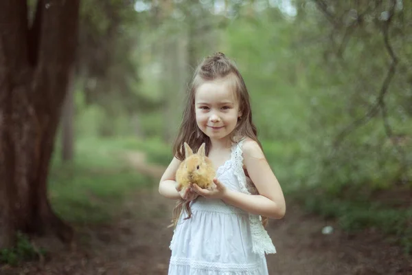 Porträt Eines Schönen Netten Mädchens Wald Den Händen Eines Mädchens — Stockfoto