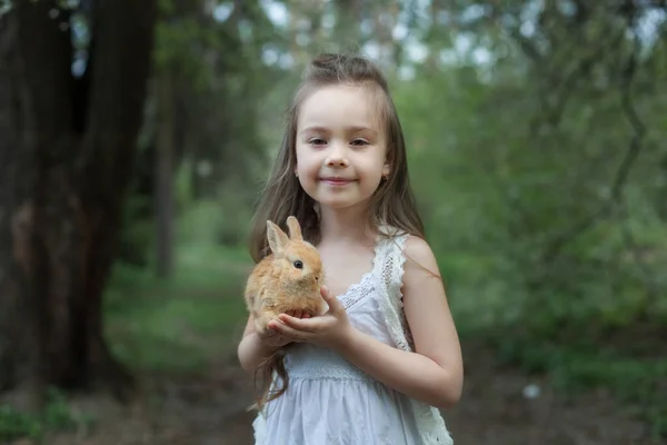 Kleines Süßes Mädchen Das Ein Kaninchen Auf Dem Arm Hält — Stockfoto