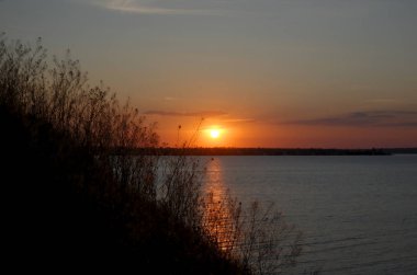 Kuru bitkiler gün batımının ışığında dağda büyüyorlar..