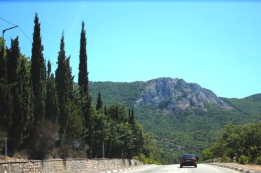 Yol boyunca çam ağacı ormanı olan yeşil tepenin altında mavi gökyüzü.
