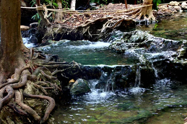 Sehr Schöner Natürlicher Wasserfall Mit Wurzeln Und Bäumen — Stockfoto