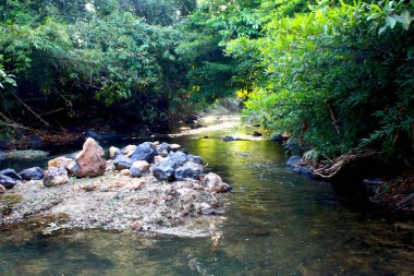 Tropik manzara: Kayalık adanın etrafında yüzen nehir.