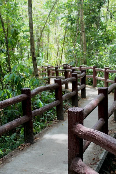 Tahta Korkuluklu Güzel Beton Bir Köprü Uzaktaki Tropikal Ormana Doğru — Stok fotoğraf