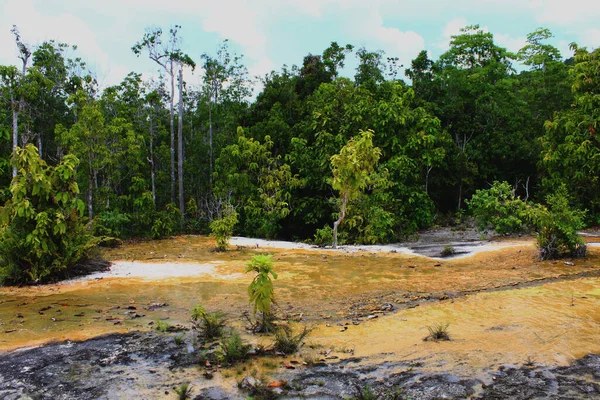 Kayalık Plato Güzel Bir Tropikal Ormana Karşı Bir Şelaleden Gelen — Stok fotoğraf