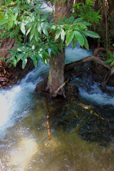Водопад Течет Вокруг Тропического Дерева Впадает Быструю Реку Отражающую Солнце — стоковое фото