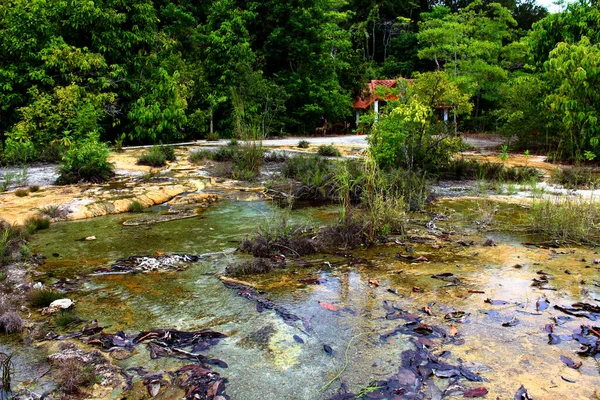 Río Azul Fluyendo Entre Piedras Creando Pequeñas Islas Con Plantas —  Fotos de Stock