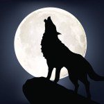 depositphotos_169119180-stock-