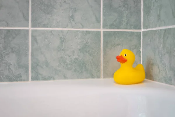 浴缸里的黄橡胶鸭 — 图库照片