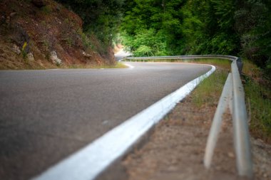 Ormanda beyaz çizgileri olan kıvrımlı bir yolun önü görünen yatay renk görüntüsü