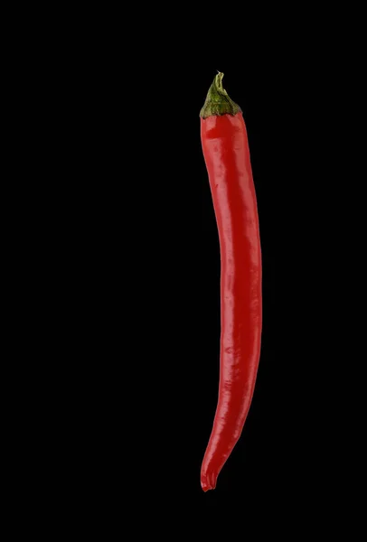 Pimiento Rojo Chile — Foto de Stock