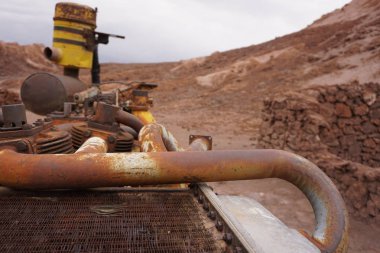 İstenildiği gibi otomatik terk et.