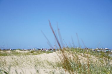 Entrada de arena al oceano