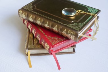 Fransız ciltleyici, el yapımı kitaplar, altın damgalı hakiki deri çanta..