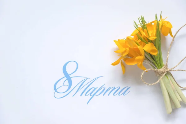 Beyaz arka planda izole edilmiş sarı çiçek ve yazıt 8 Mart 'ta. Kartpostal.