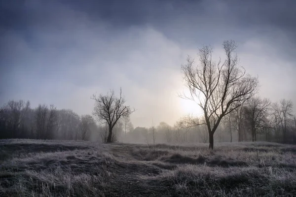 Early Morning Fog Glade Grass Trees Hoarfrost Lake House — Stock Photo, Image