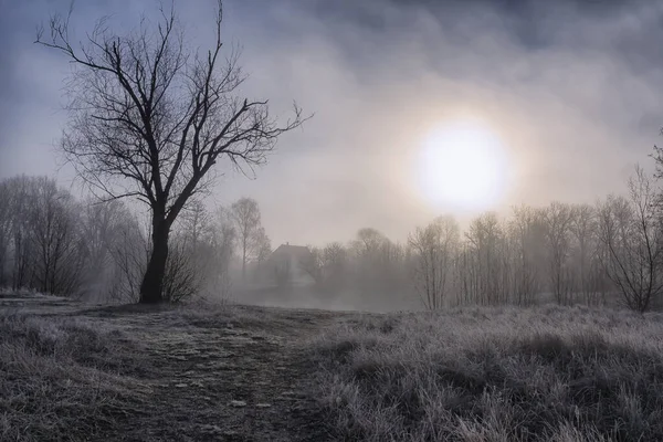 Early Morning Fog Glade Grass Trees Hoarfrost Lake House — Stock Photo, Image